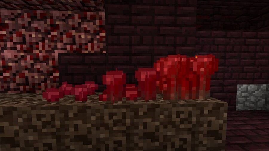 do nether warts need light