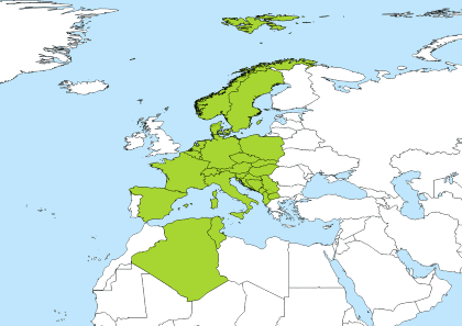 central european time to central standard time