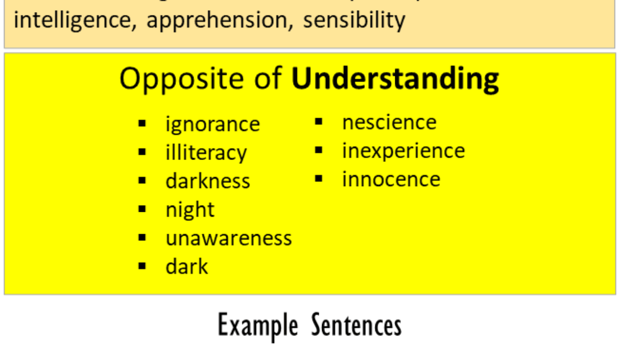 understanding antonym