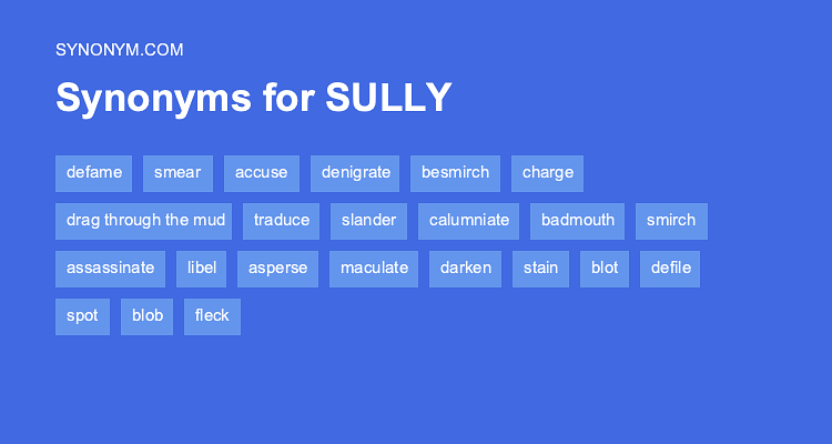 sully synonym