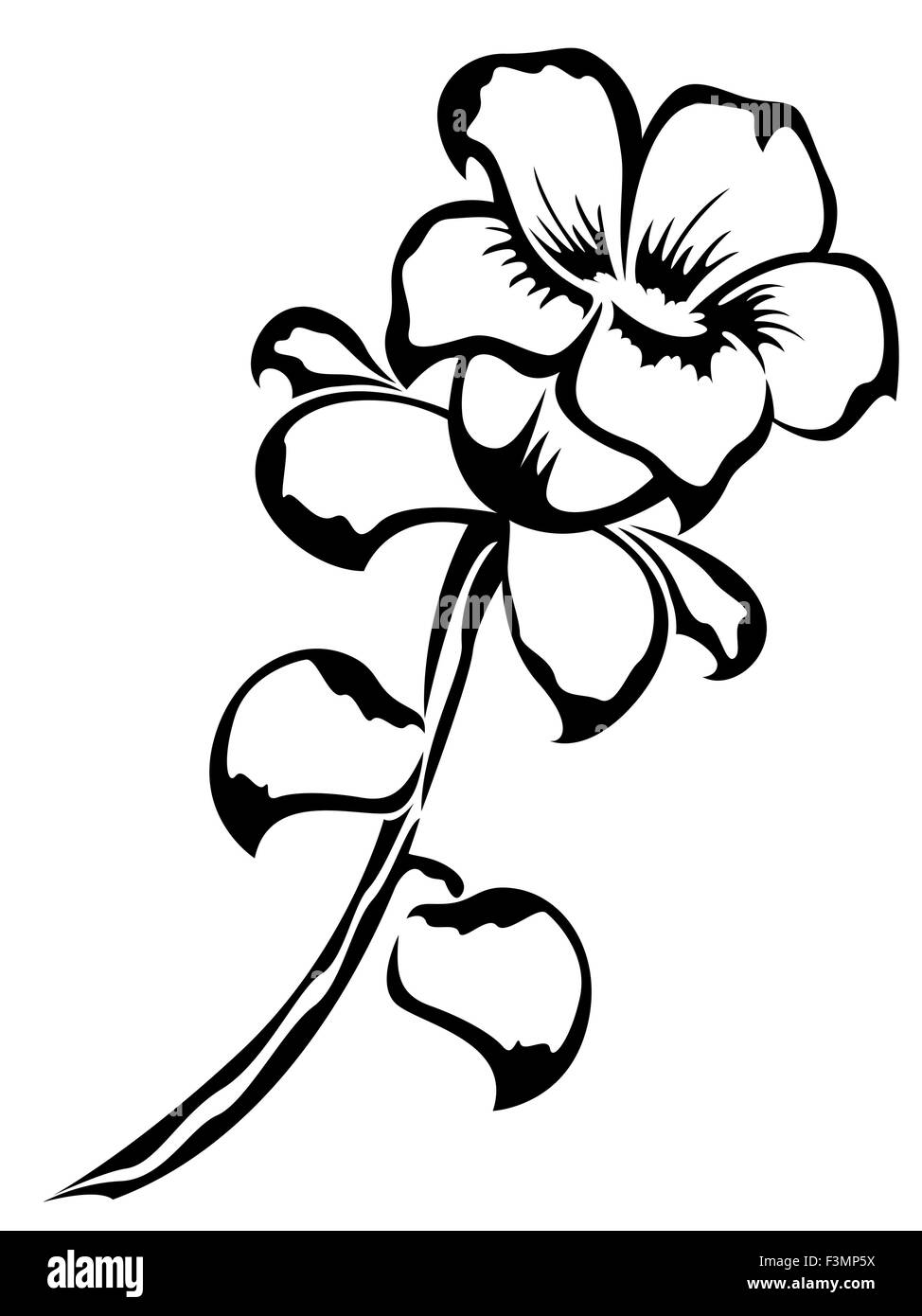 black outline flower