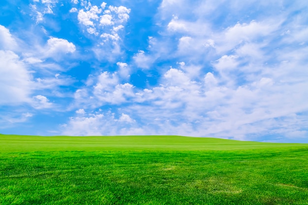 blue sky green grass background