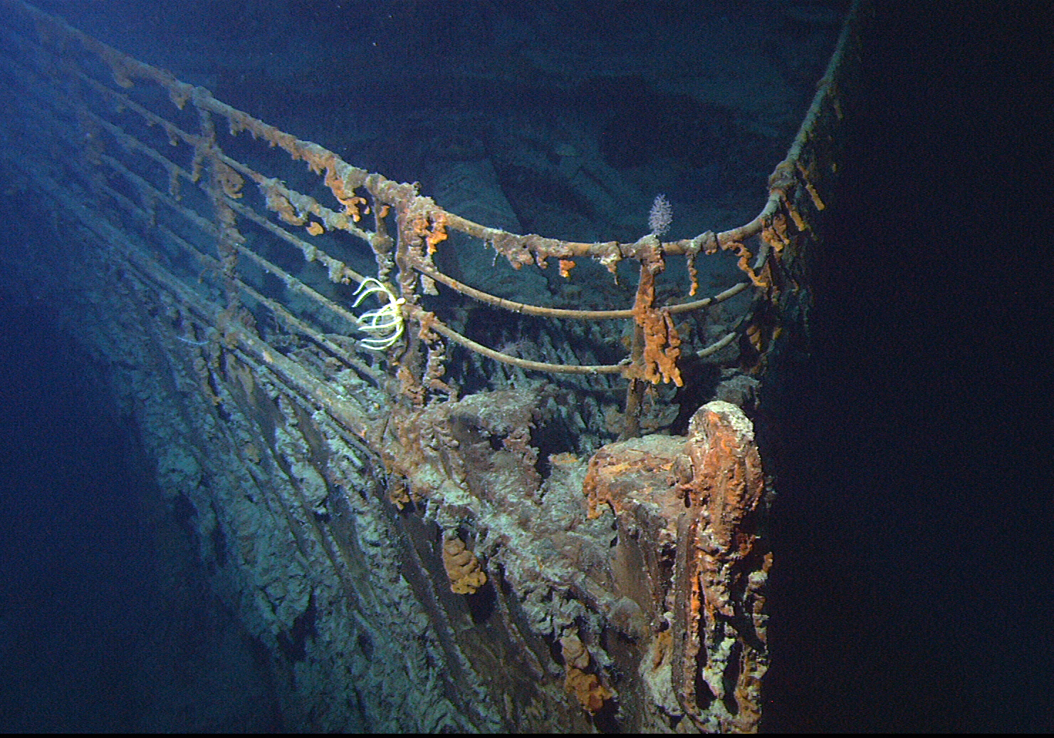 rms titanic wikipedia