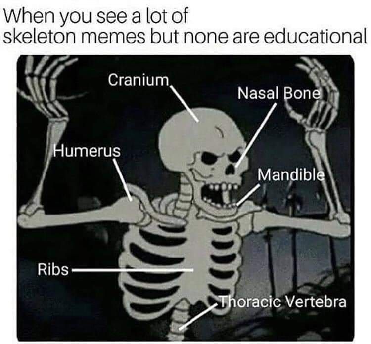 skeletal memes