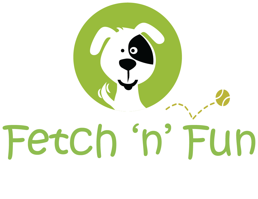 fetch n fun wellness and daycare