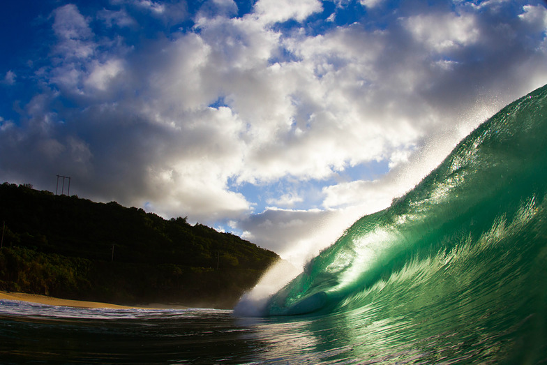 waimea bay wave report