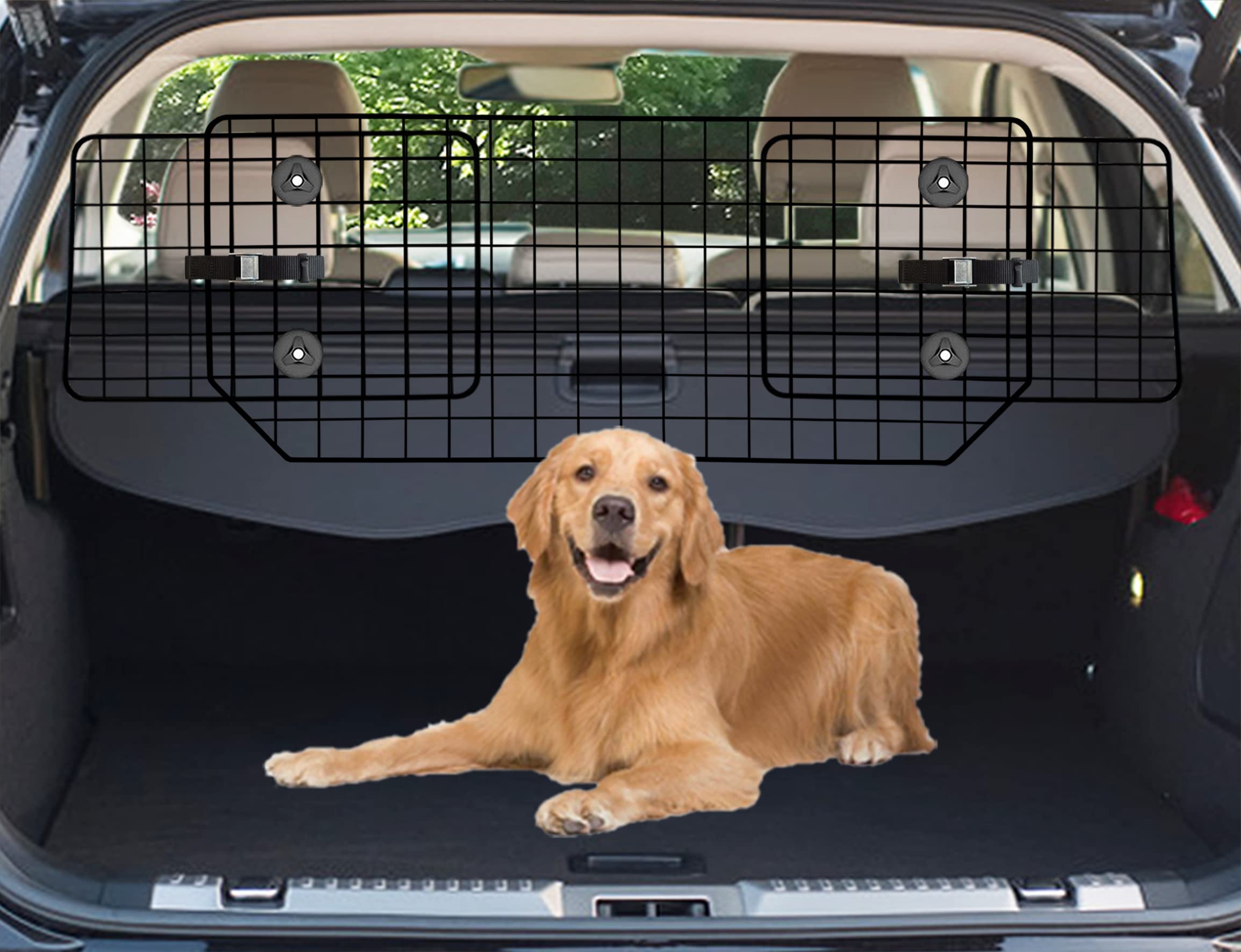 vehicle dog barrier