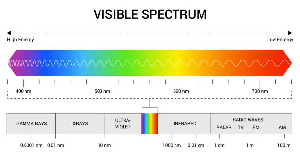 which of the following has the shortest wavelength