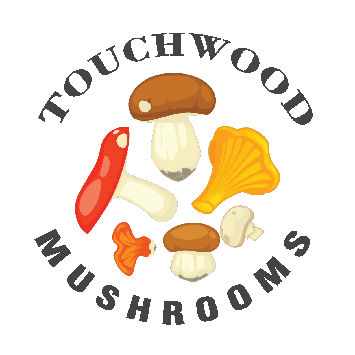 touchwood mushrooms