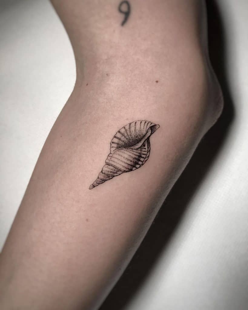 shell seashell tattoos