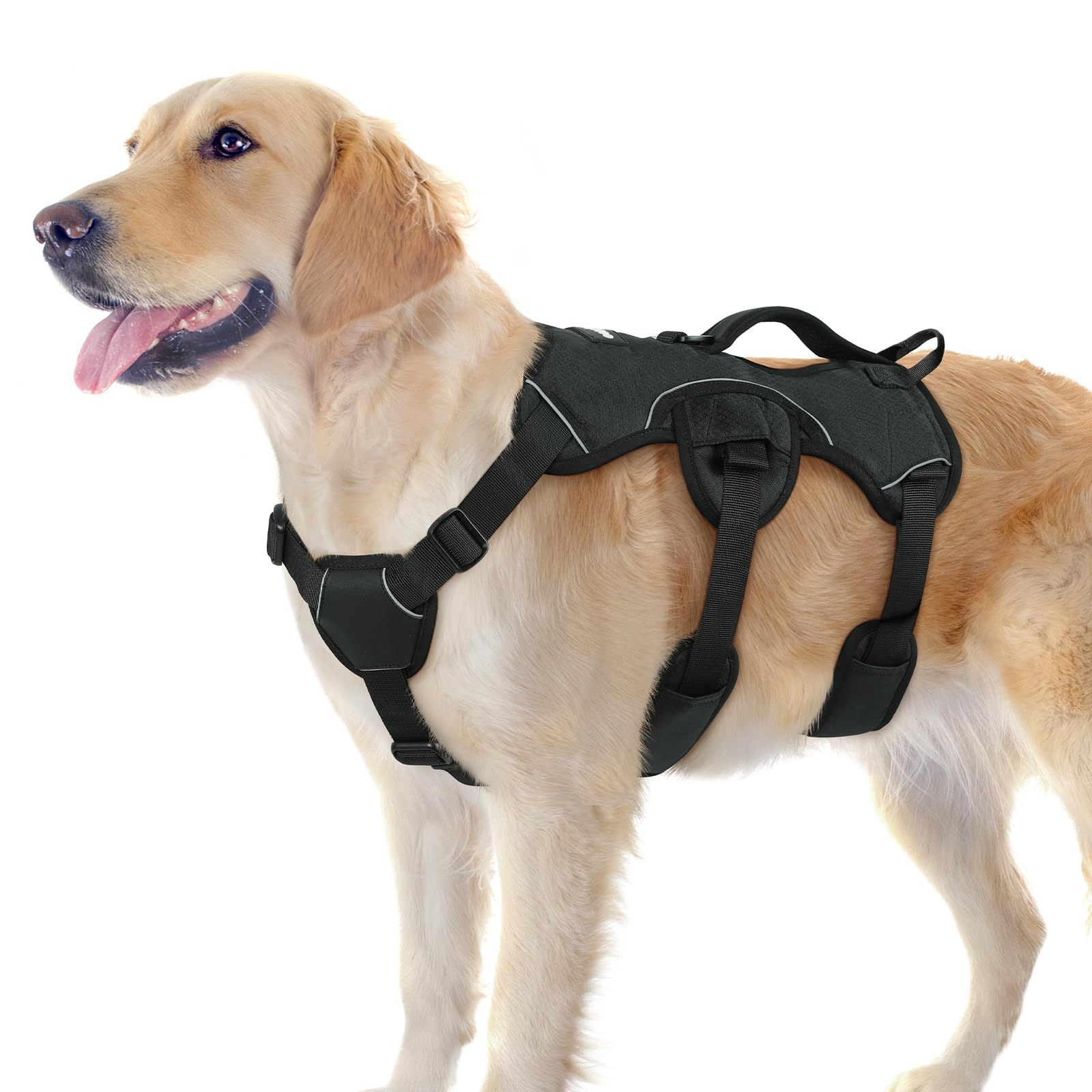 rabbitgoo dog harness uk