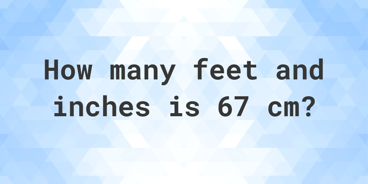 67 centimeters to feet