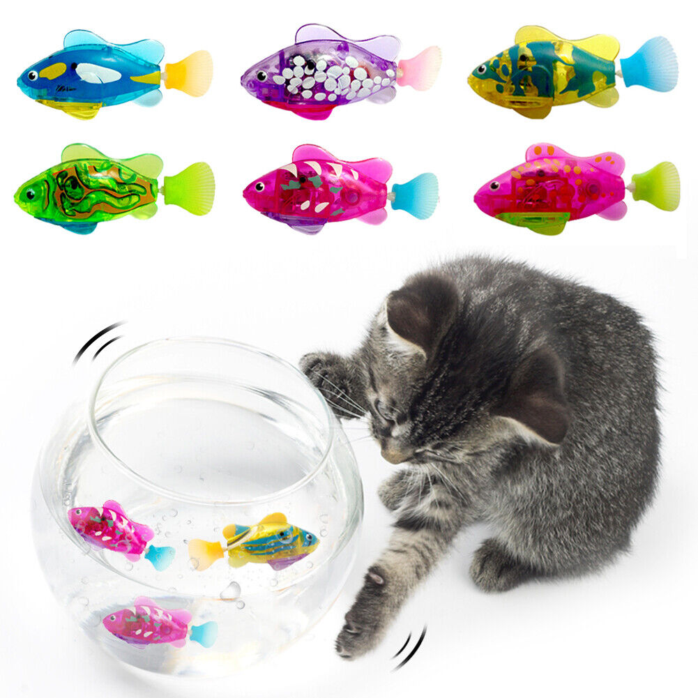 swimming fish for cats