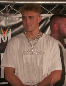 jake paul wikipedia