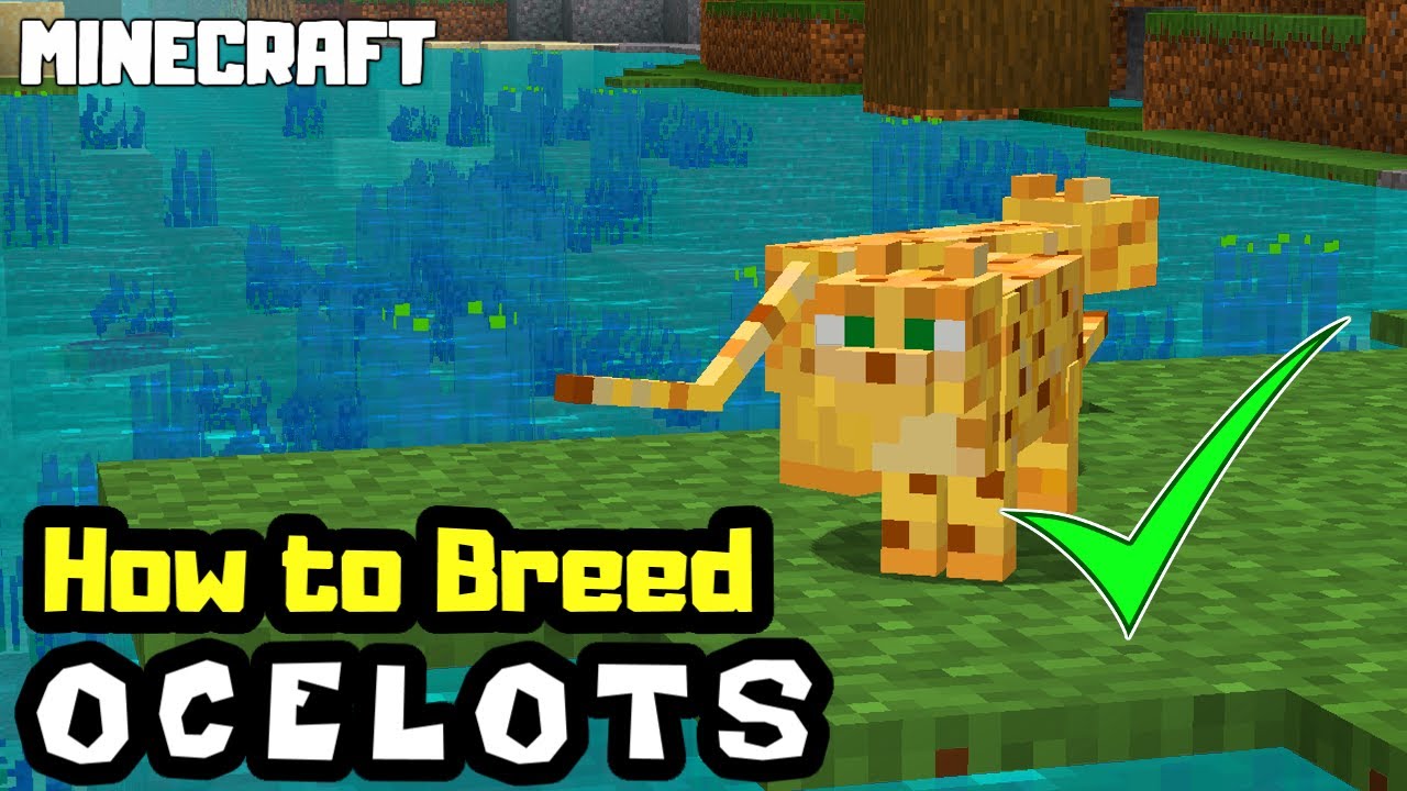 minecraft ocelot breeding