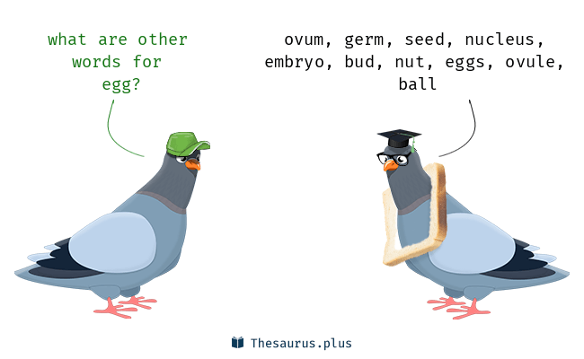 egg thesaurus