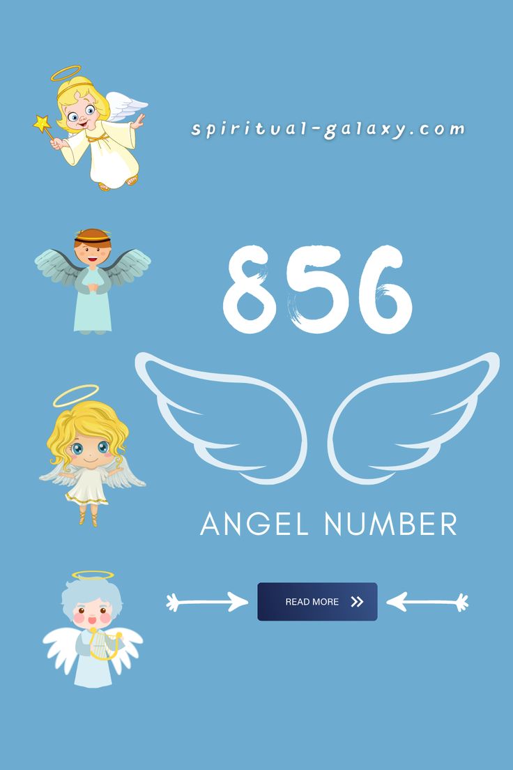 856 angel number