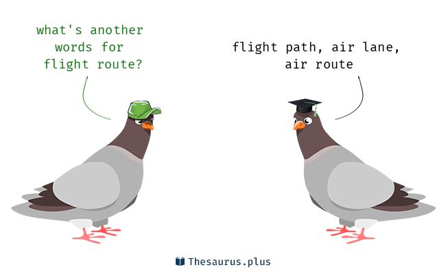 another word for flight