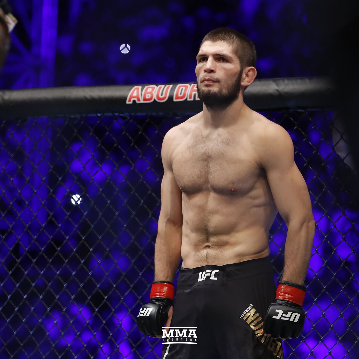 khabib ufc next fight