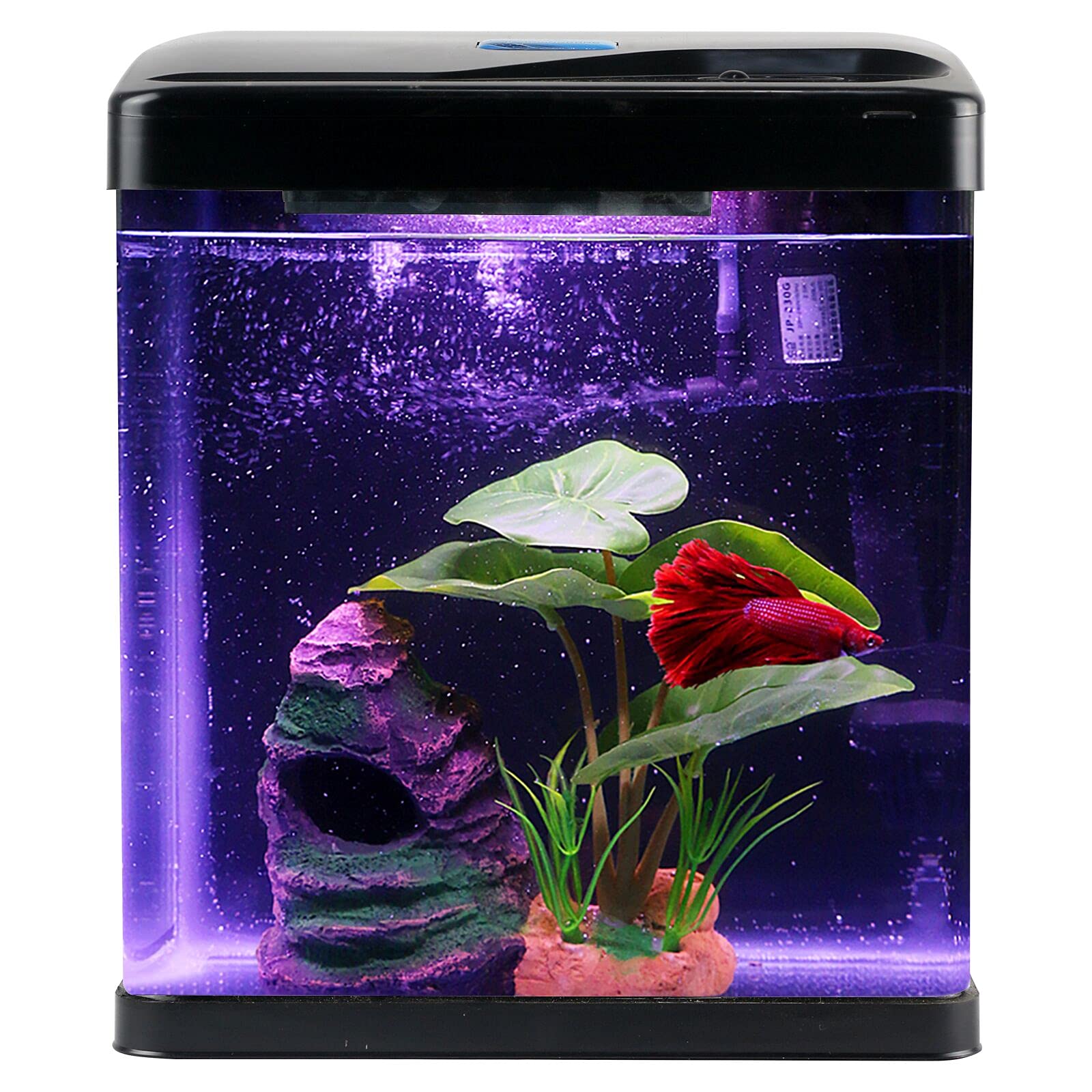 good betta fish tanks