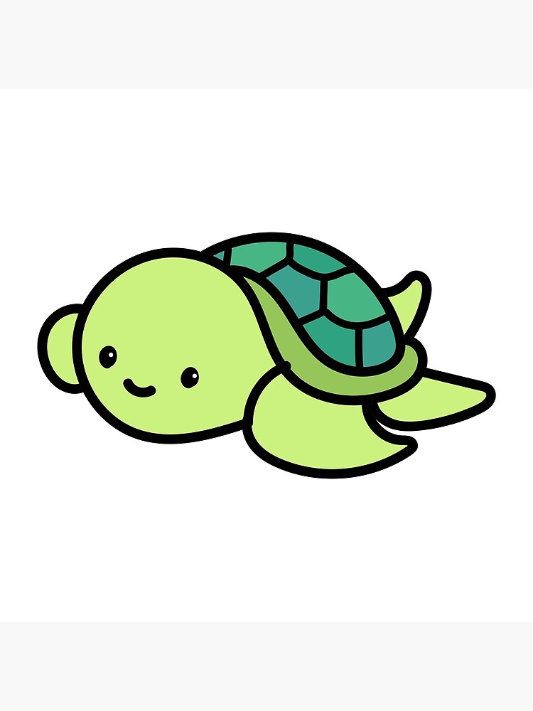 cute pictures of turtles