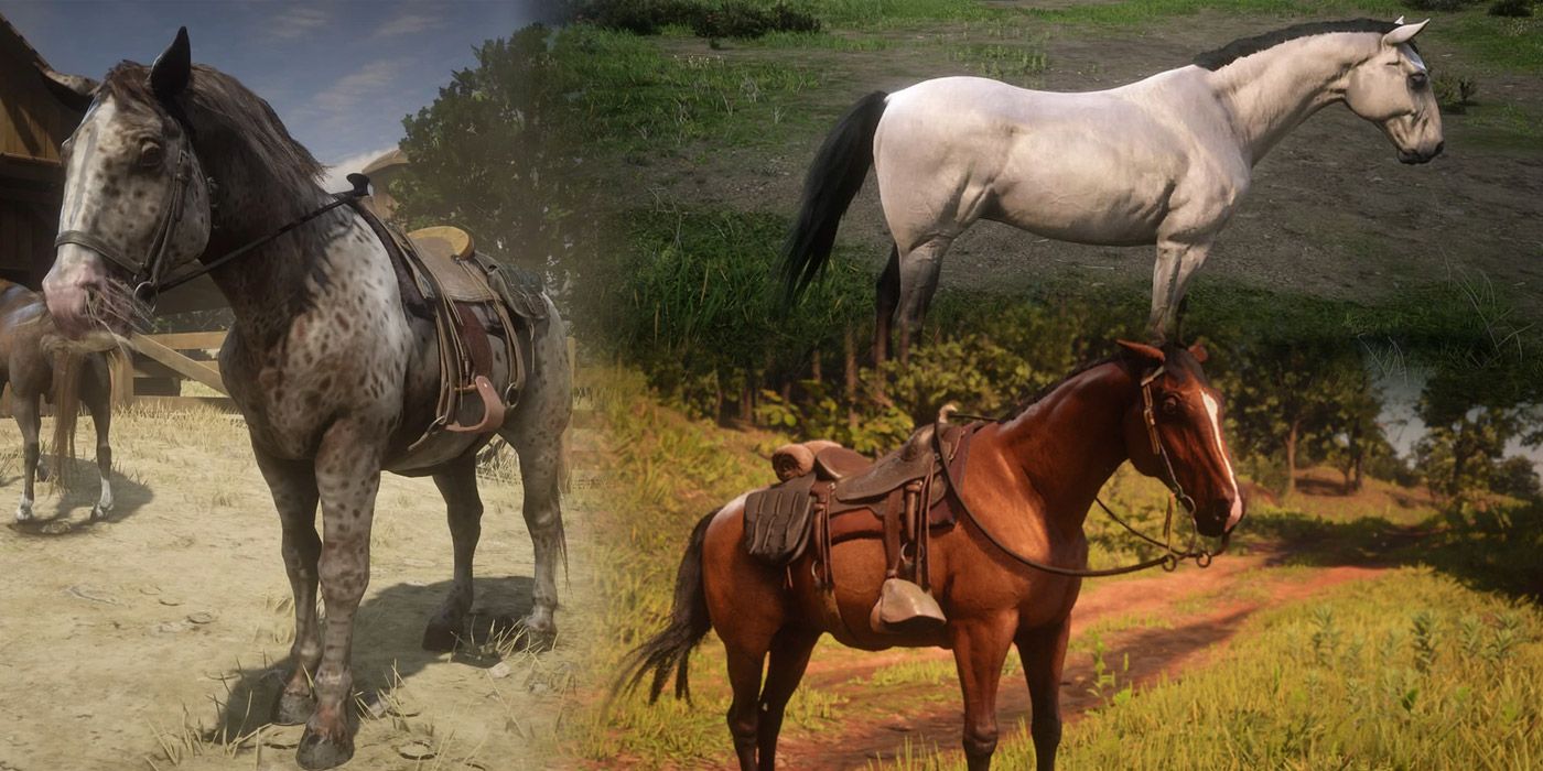 reddeadredemption2 horses