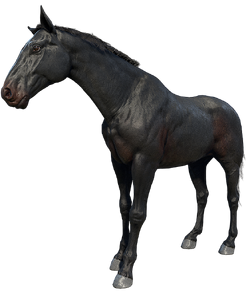 dutch warmblood rdr2