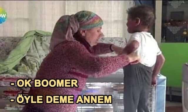 okey boomer ne demek