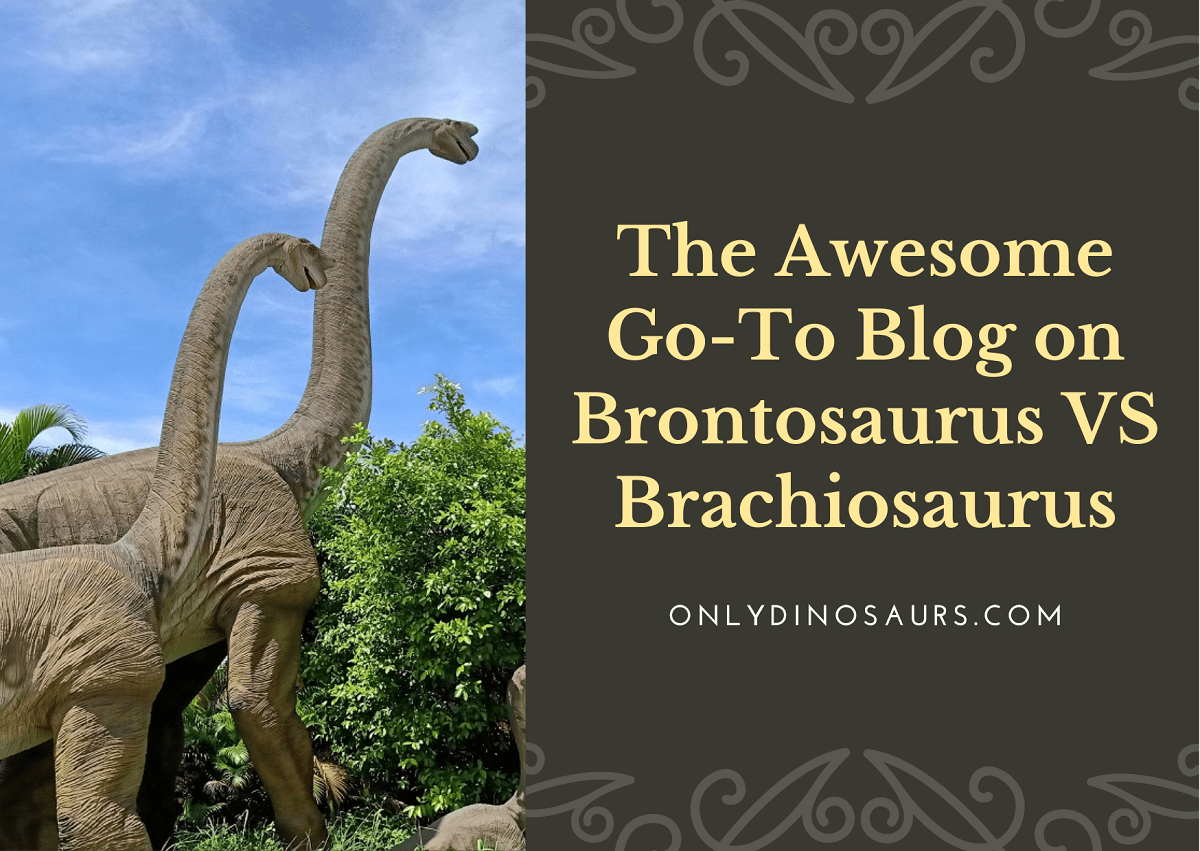 brachiosaurus and brontosaurus