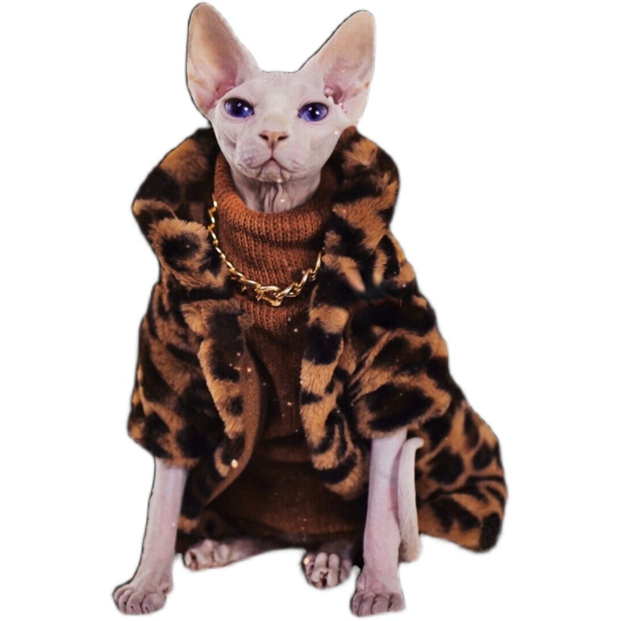 clothes for hairless cats