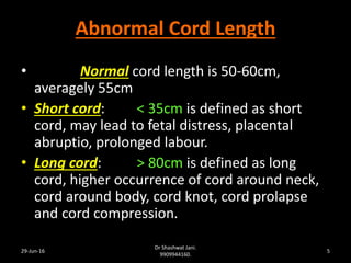 umbilical cord abnormalities ppt