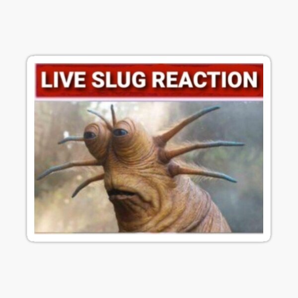 live slug reaction meme