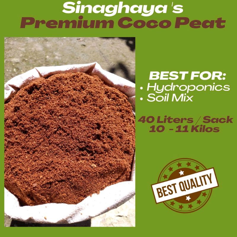 coco peat wholesale price