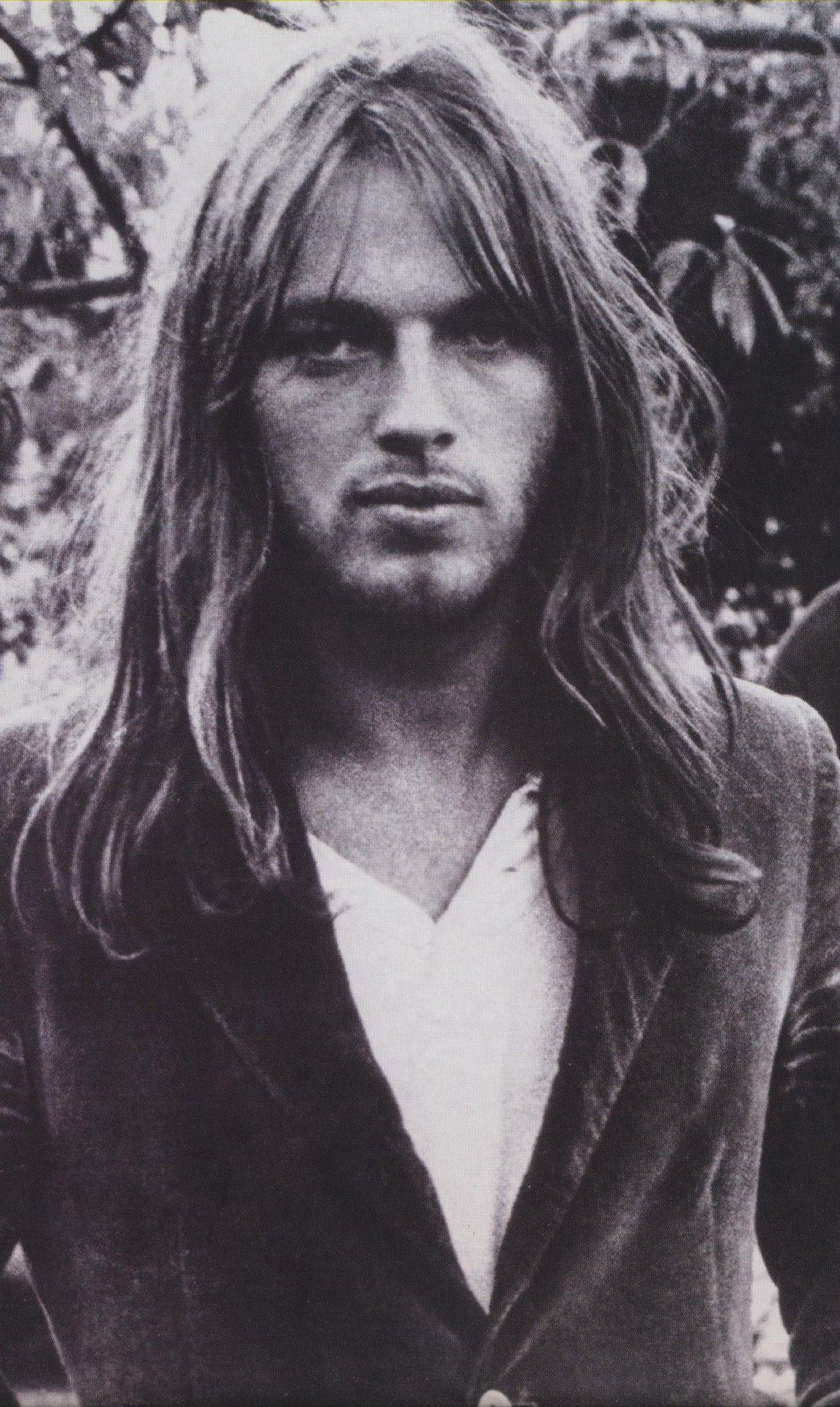 david gilmour hair