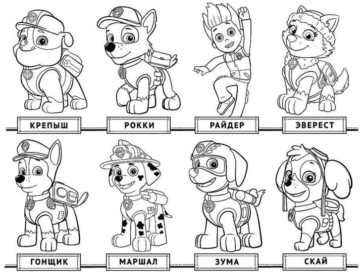 pawpatrol colorear