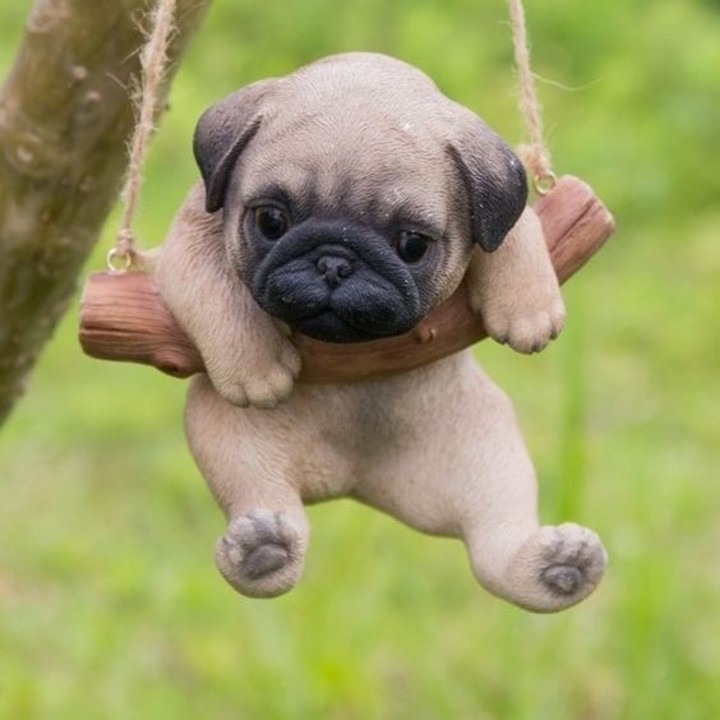 perros pug bebes precio