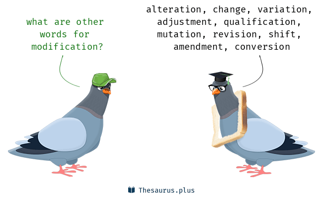 synonyms modification