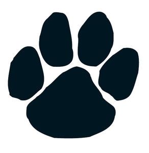 cougar paw drawing