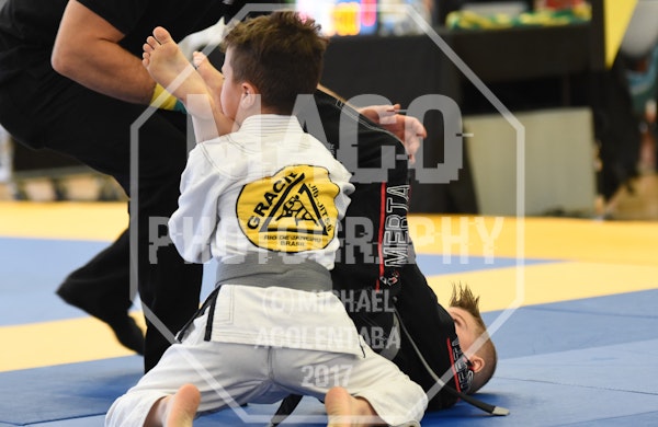 summer cup bjj