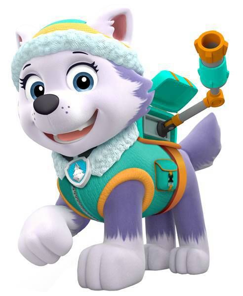 everest from paw patrol