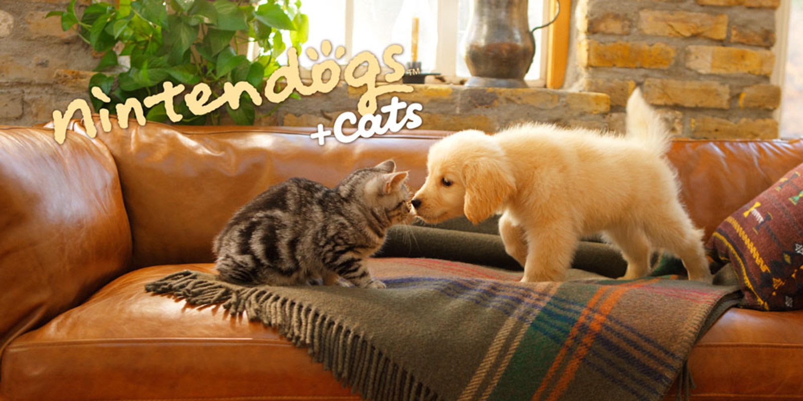 nintendogs cats