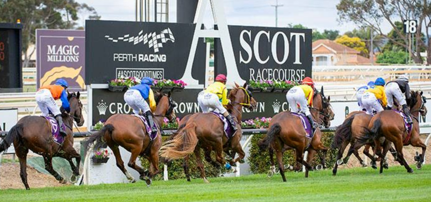 ascot australia racing results