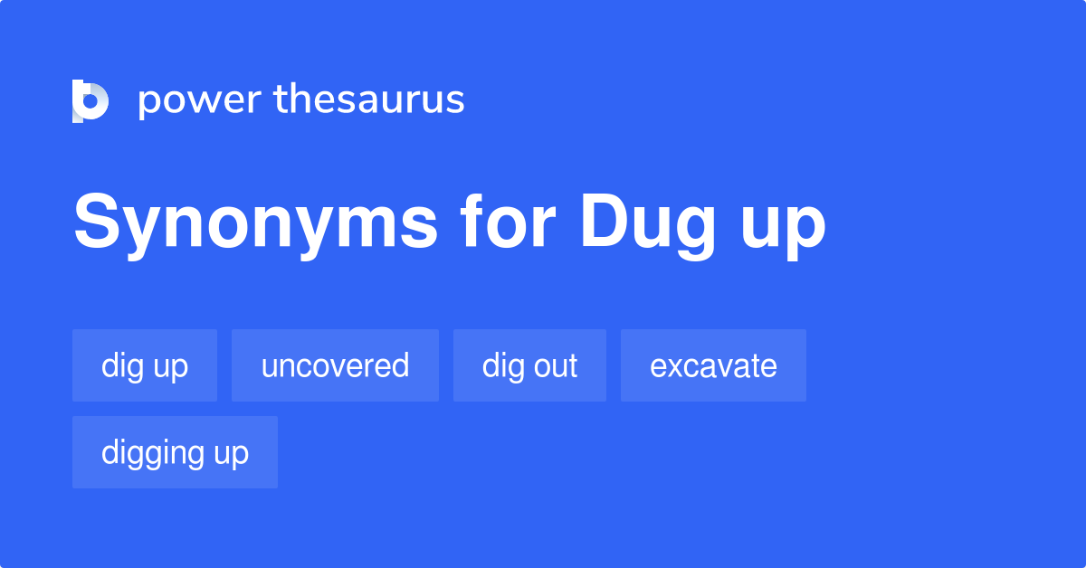 synonym for dig