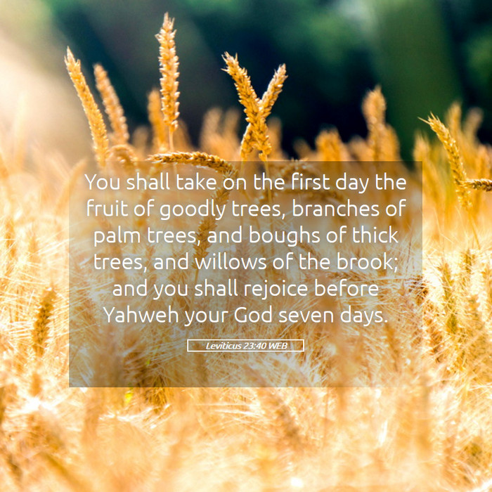 leviticus 23 niv