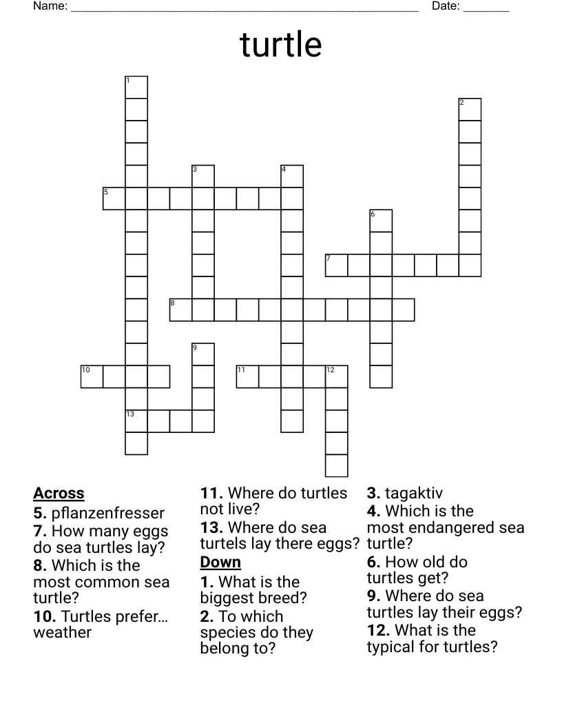 very large turtle crossword clue