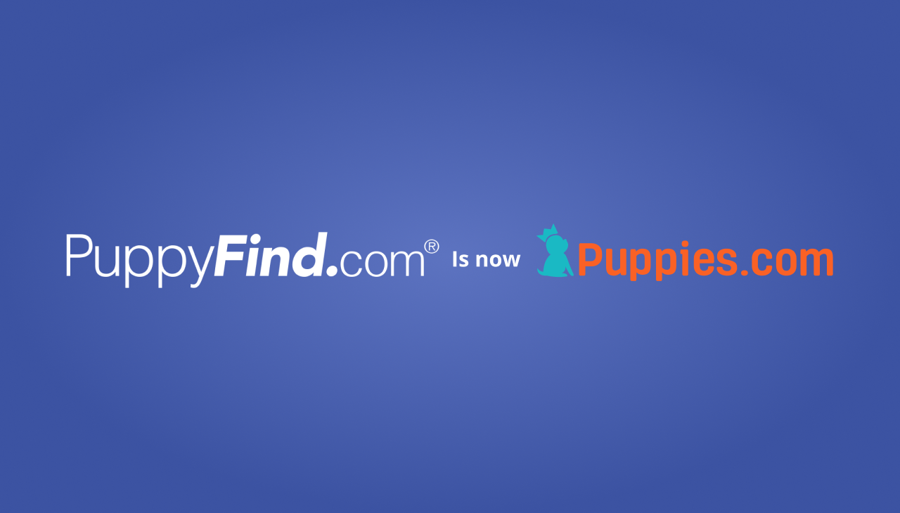 puppyfind .com