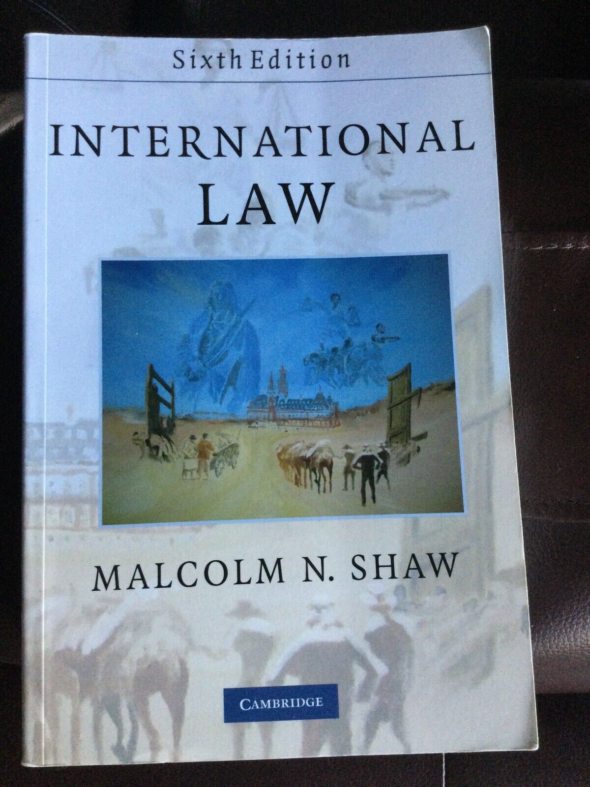 malcolm shaw international law 2008