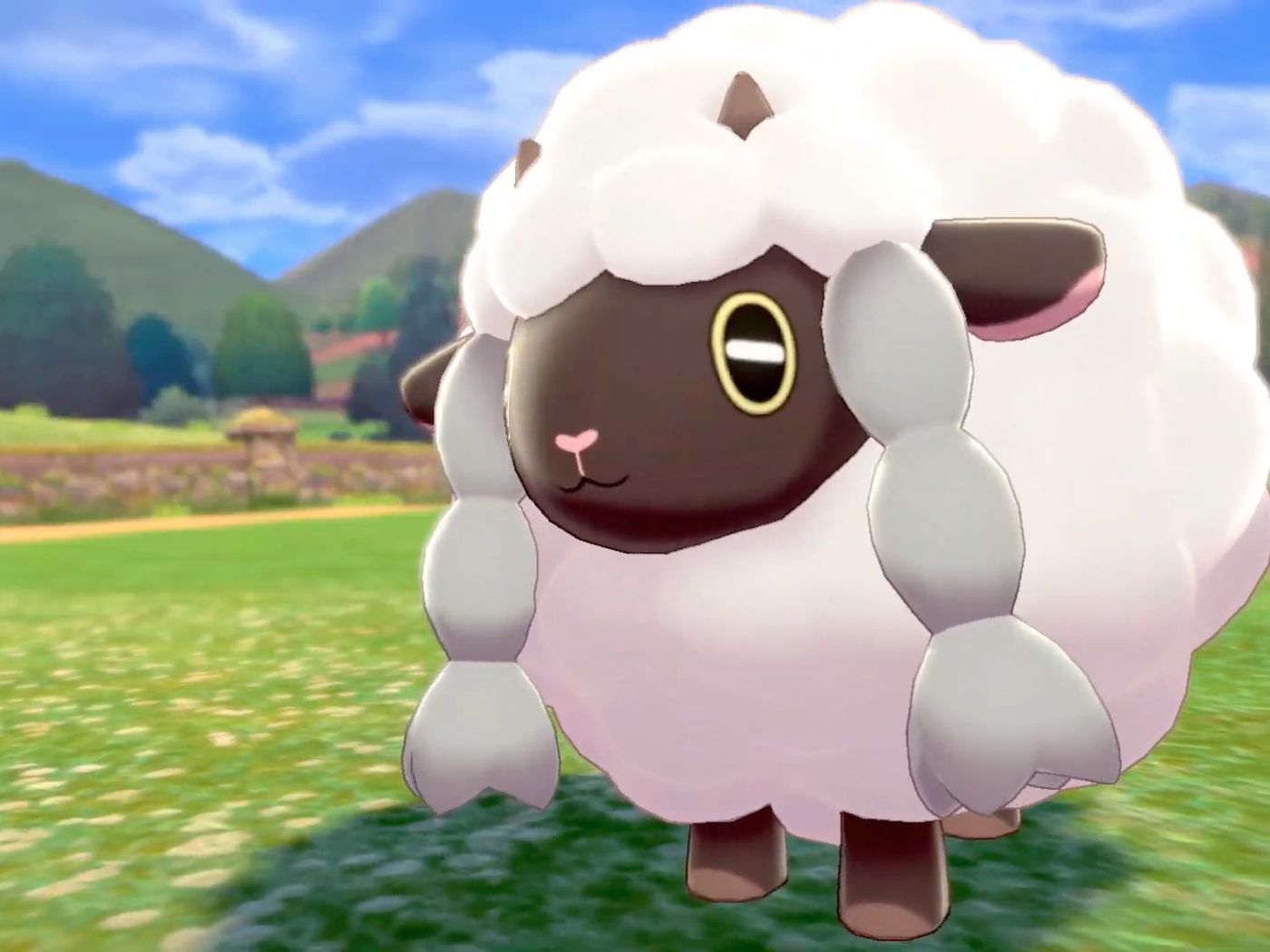 pokemon shield wooloo