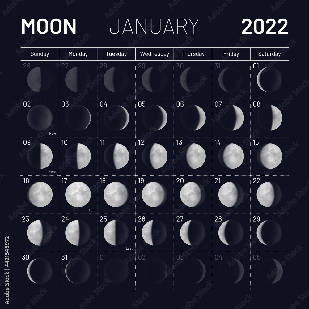 moon cycle this month