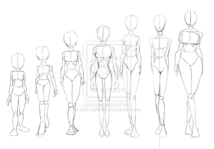 body reference